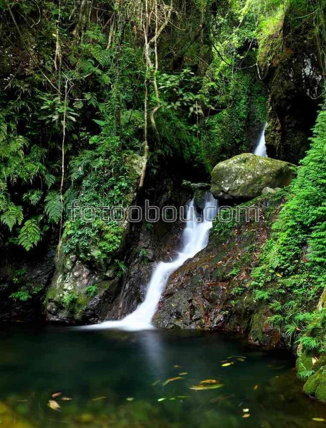Маленький водопад в лесу