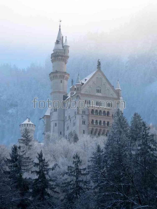 Замок в зимнем лесу