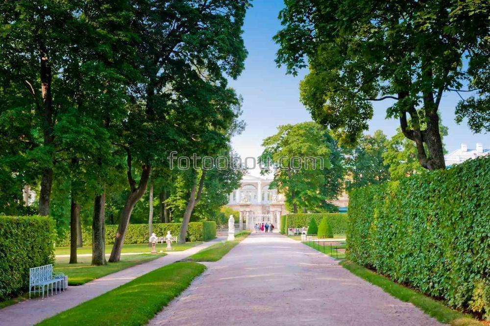 Старый парк в Санкт-Петербурге