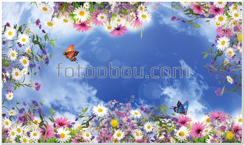 Вид на цветы и небо