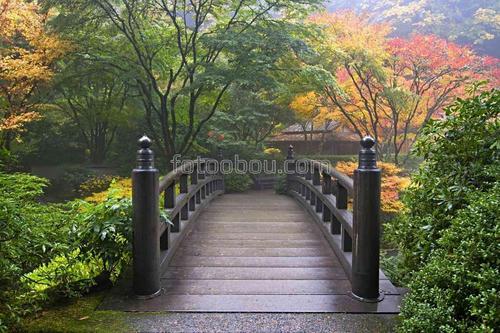 мост, природа, парк, туман, осень