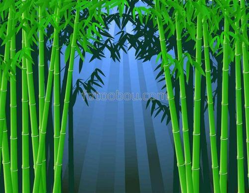 бамбук, восток, сад, лес, роща, природа