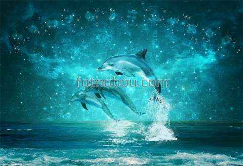 дельфин, море, ночь, небо, звезды, зодиак