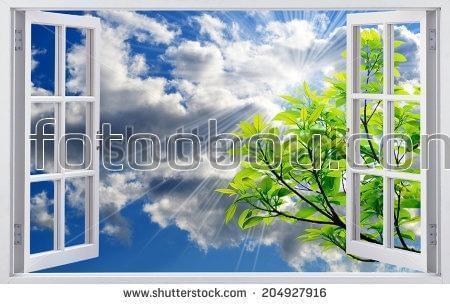 небо, окно, листья, дерево, виз из окна
