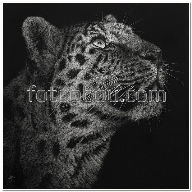 Нарисованный леопард
