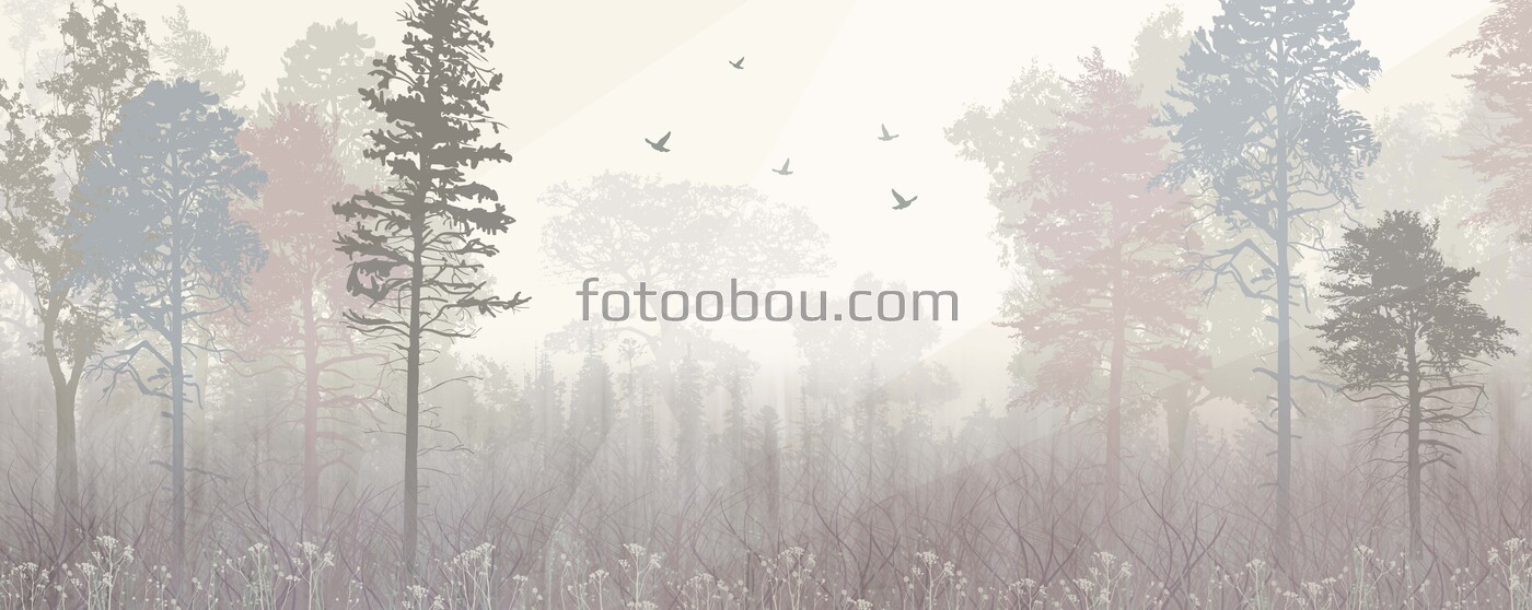 Лес в тумане 