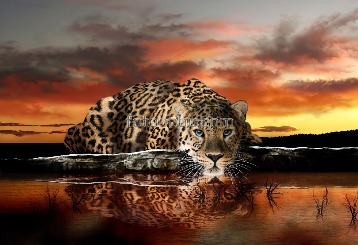 Леопард 3д