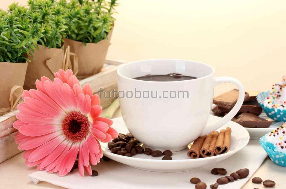Чашка кофе и цветок