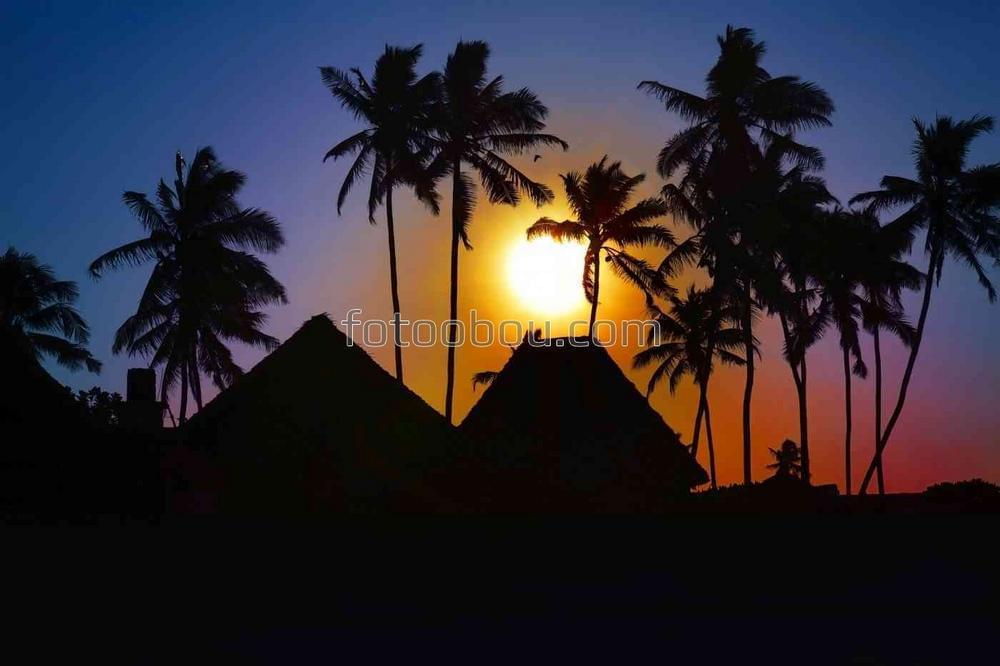 Закат за пальмами