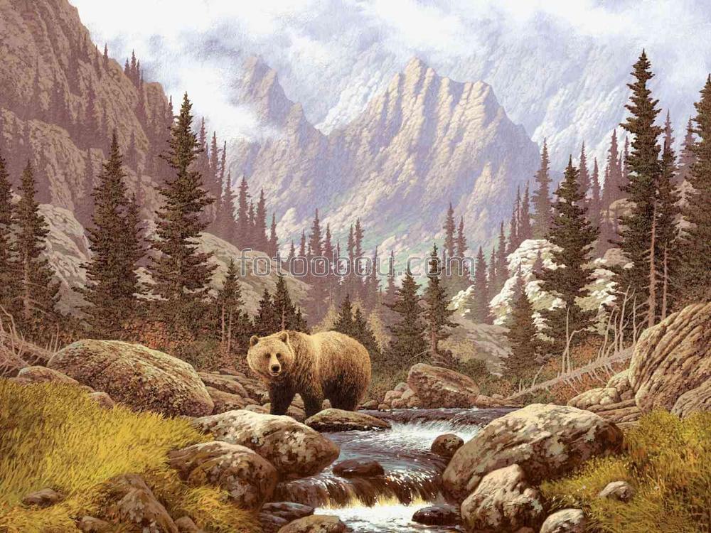 Бурый медведь на природе
