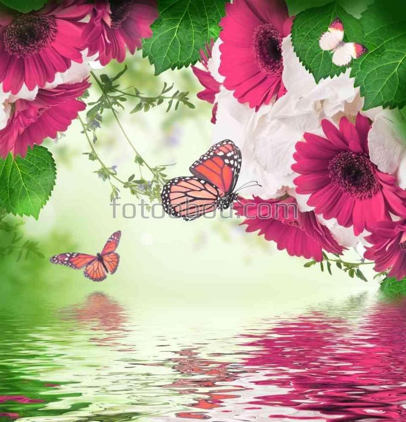 Бабочки над водой и герберы