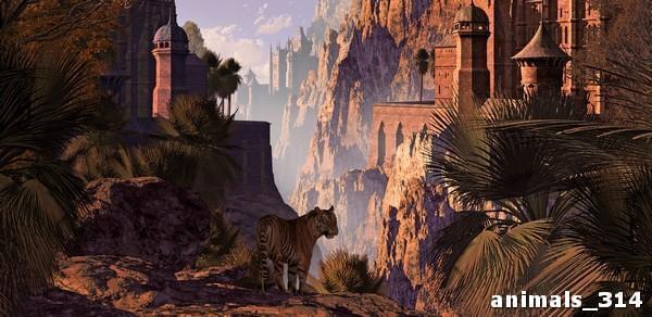 Тигр на фоне древнего города