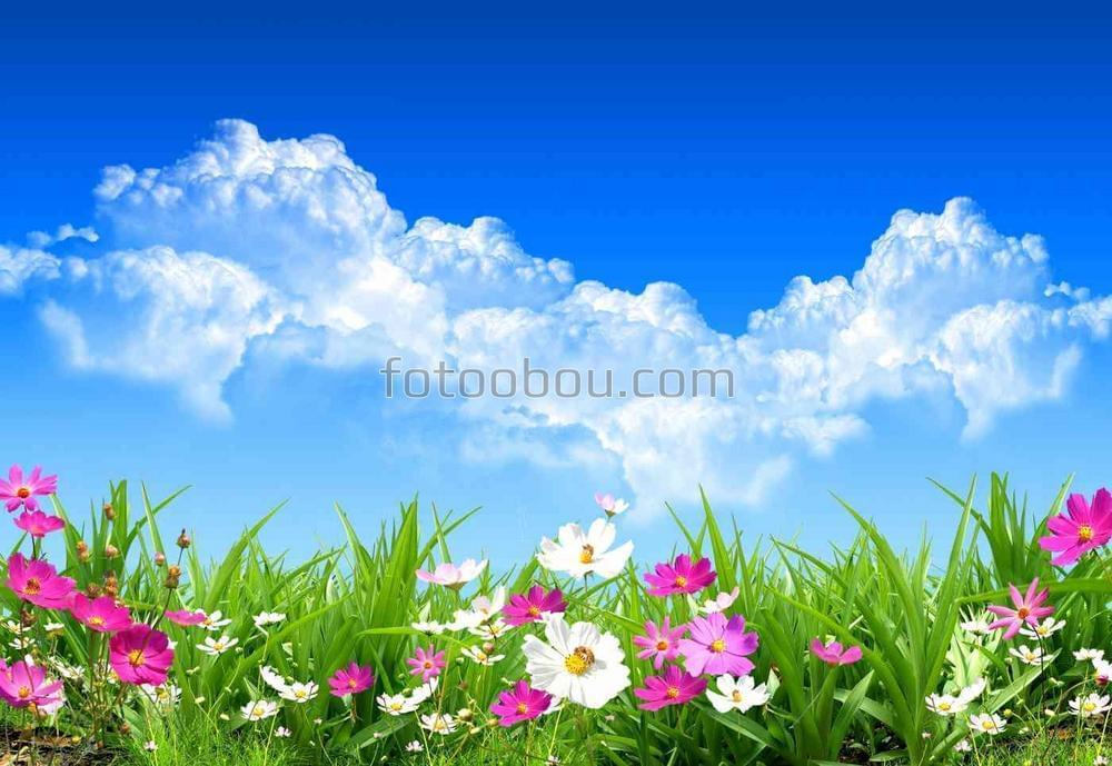 Весеннее поле под облаками