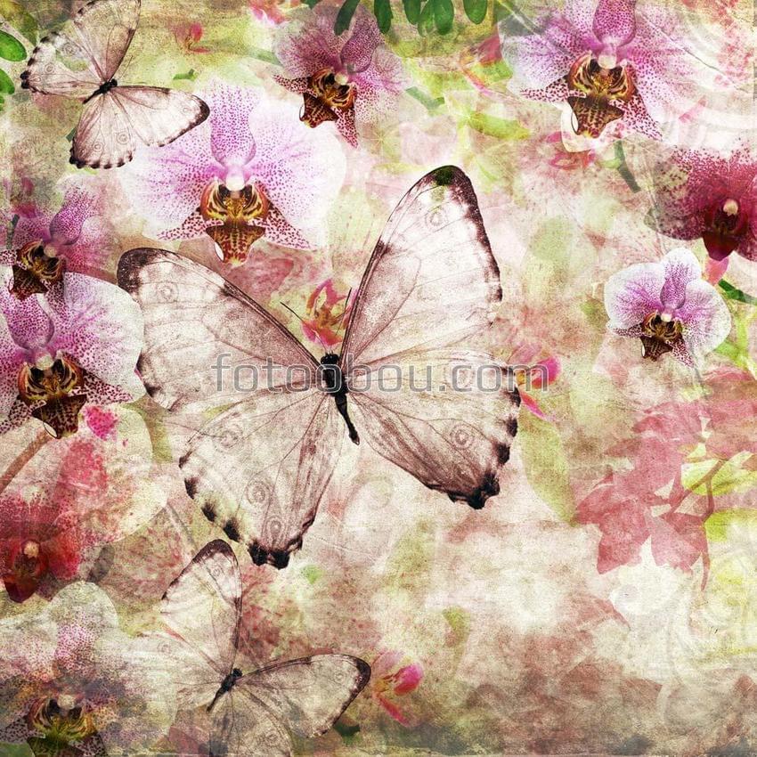 Бабочки и орхидеи на розовом фоне