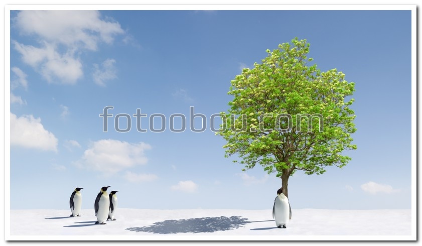 Пингвины в оазисе