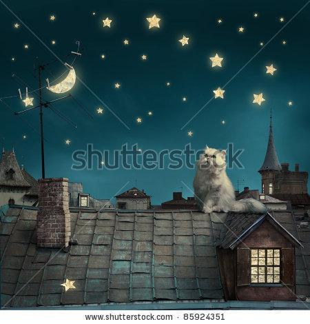 Ночной кот