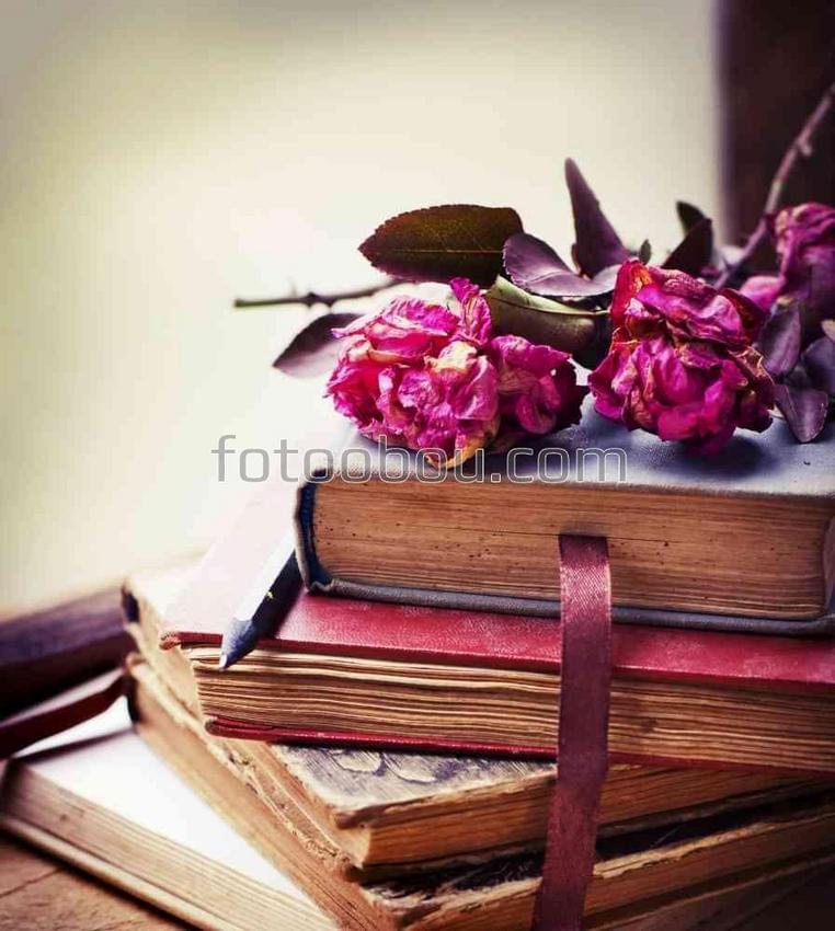 Розы на книгах