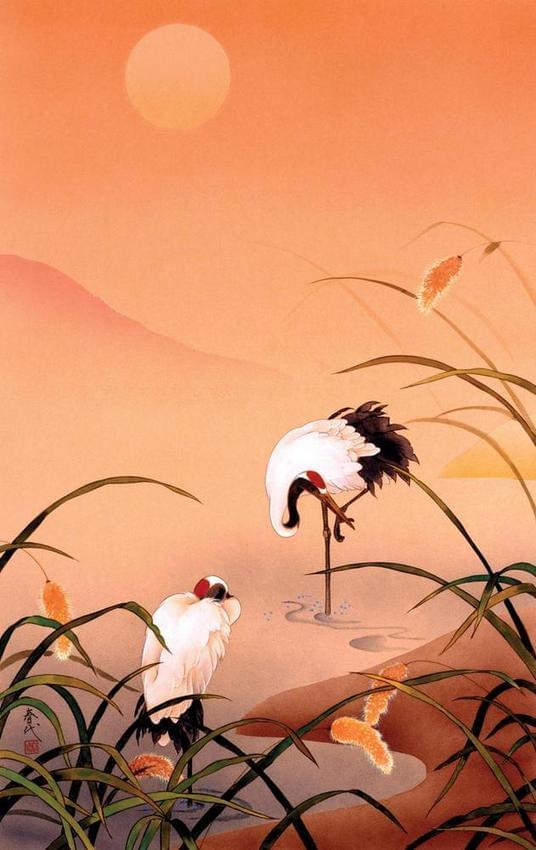 birds-haruyo-morita