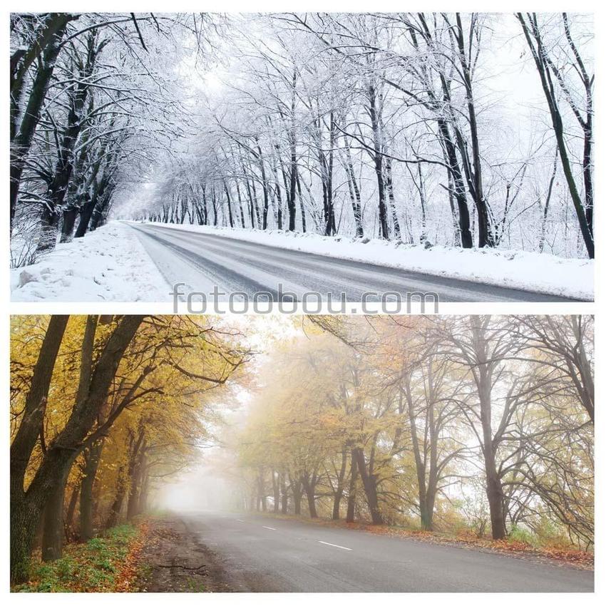 Осень и Зима