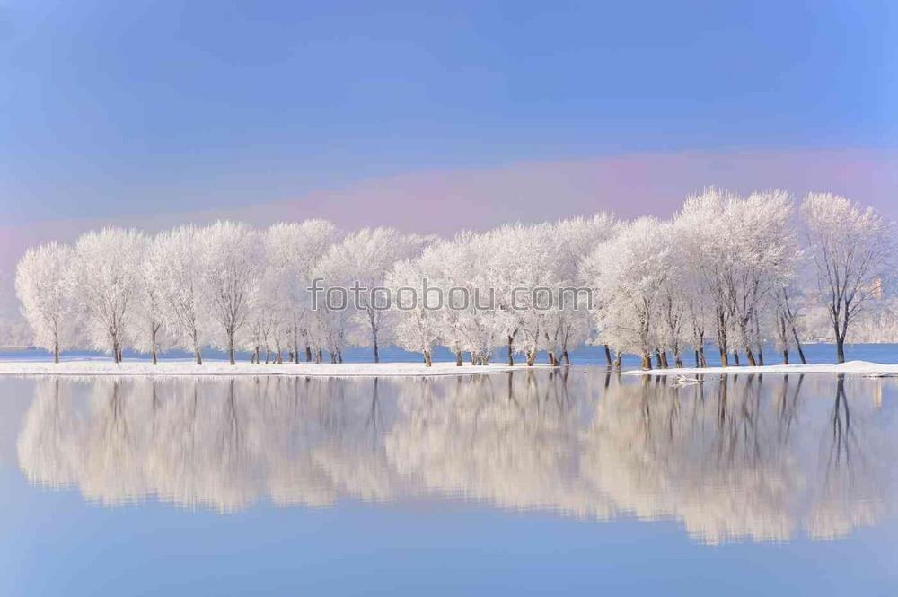 Зимний деревья посреди озера