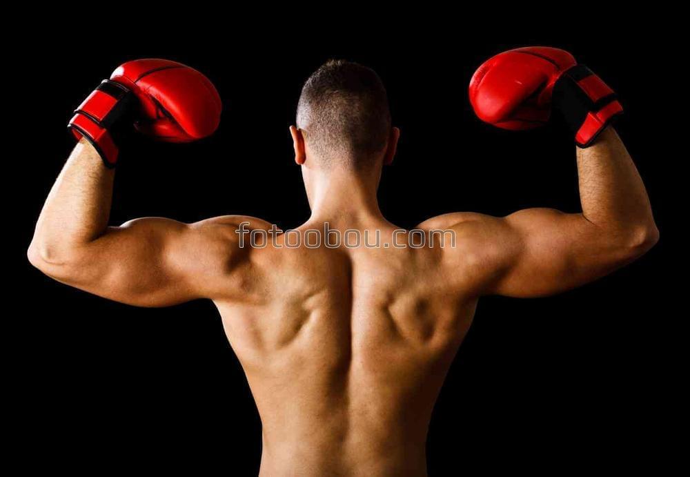 Натренированная спина боксера