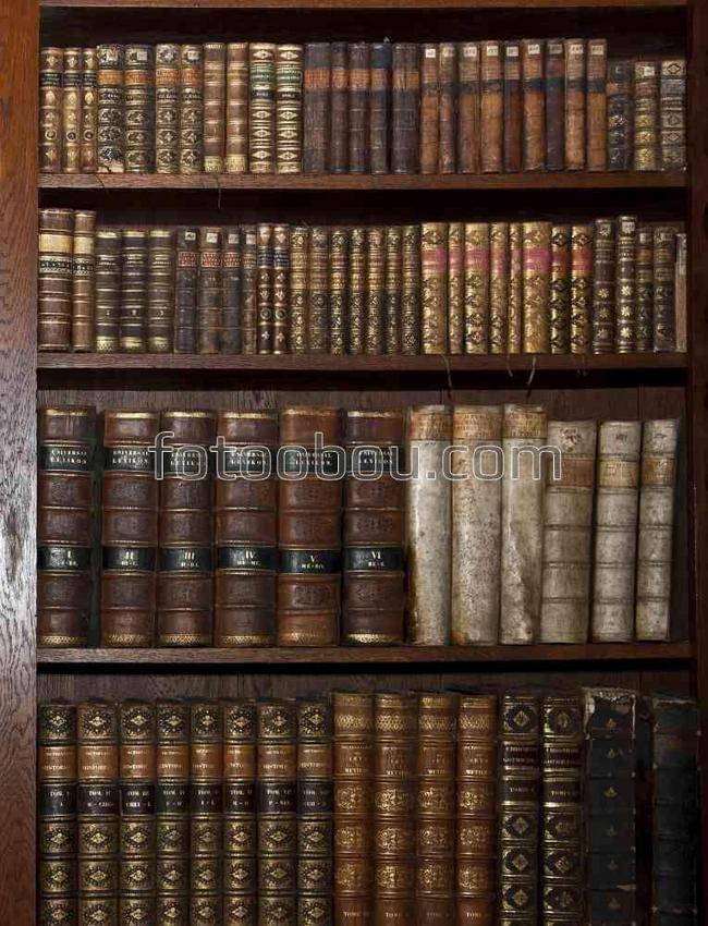 Шкаф со старинными книгами