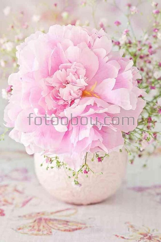 Светло-розовые пионы в вазе