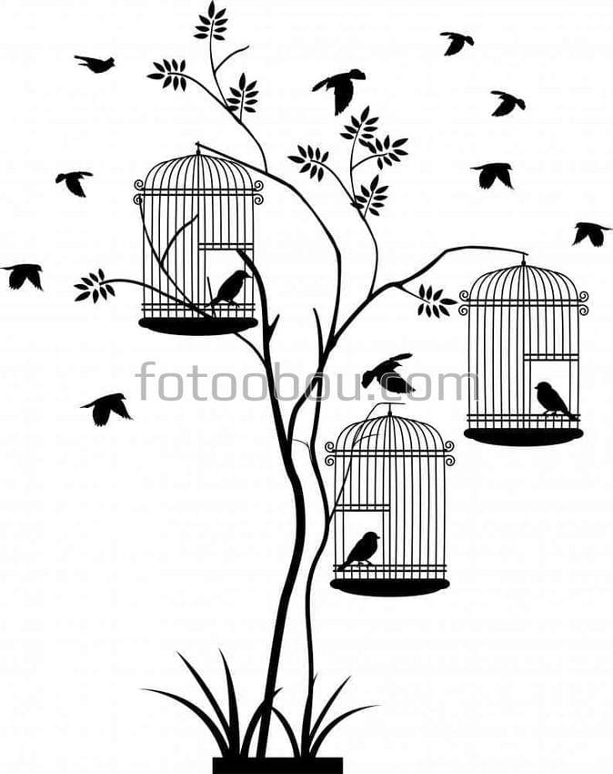Птицы на свободе