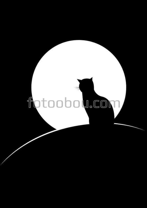 Одинокая черная кошка