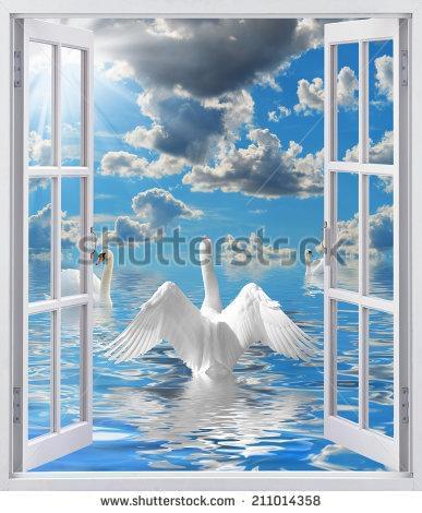 Белые лебеди