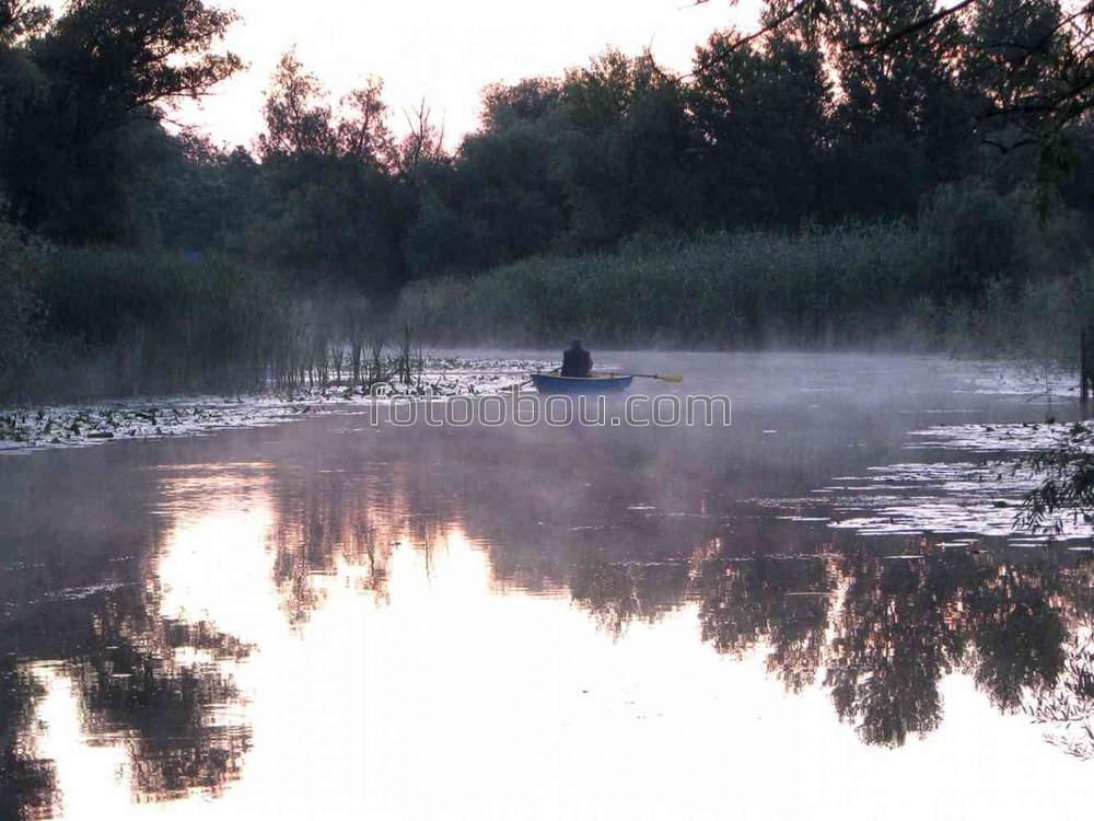 Плывём по течению