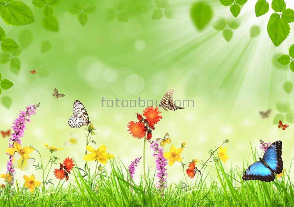Цветы и бабочки на лужайке