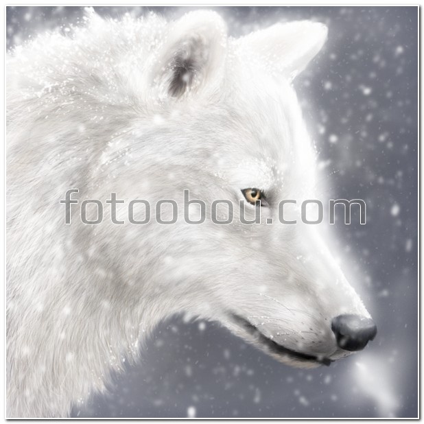 Белый нарисованный волк