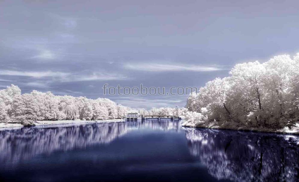 Зимняя река и деревья в снего