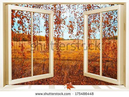 Окно в осень
