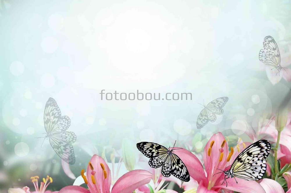 Нарисованные бабочки на цветах