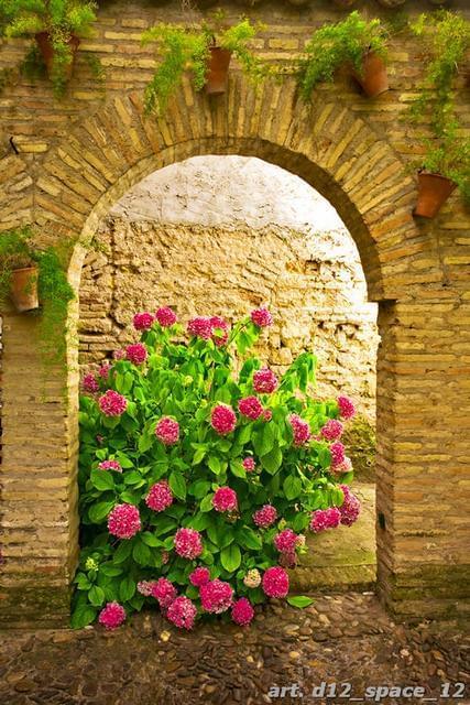 Цветы в каменной арке