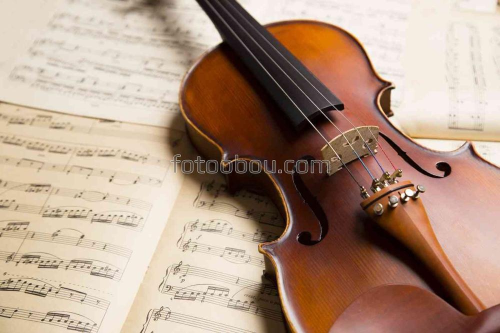 Скрипка и ноты