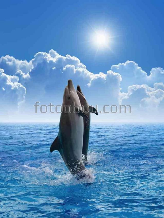 Дельфины на фоне облаков
