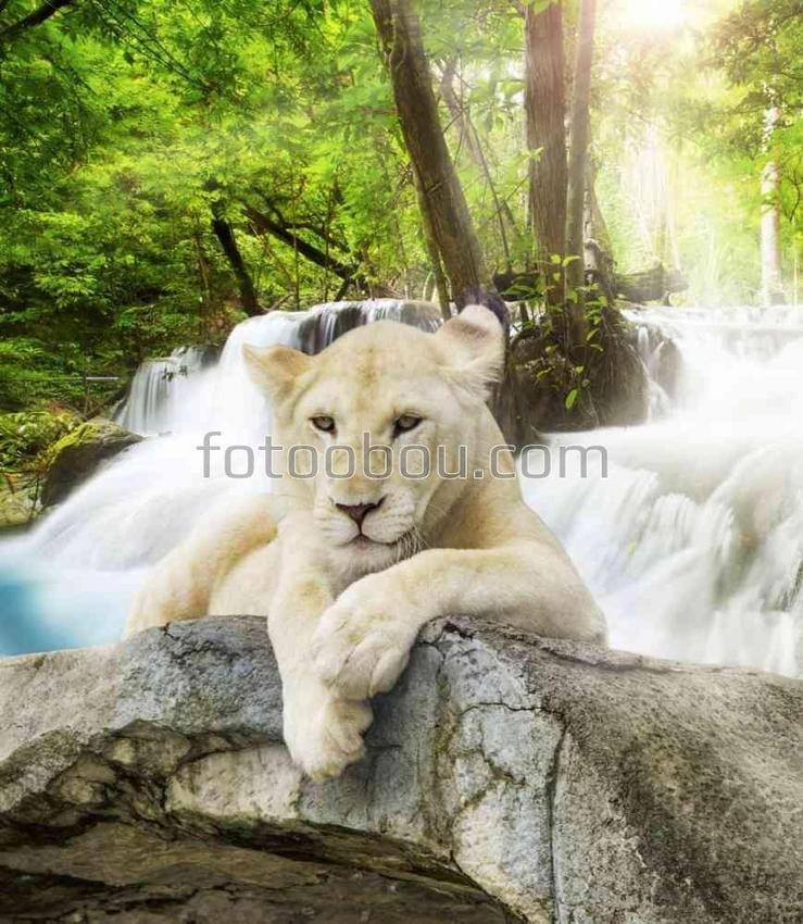 Пейзаж со львом и водопадом