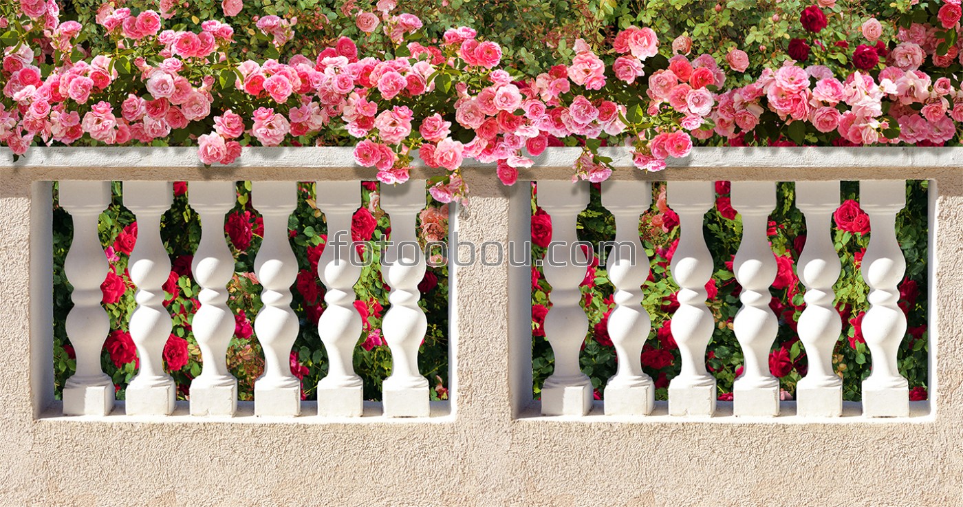 Забор с розами