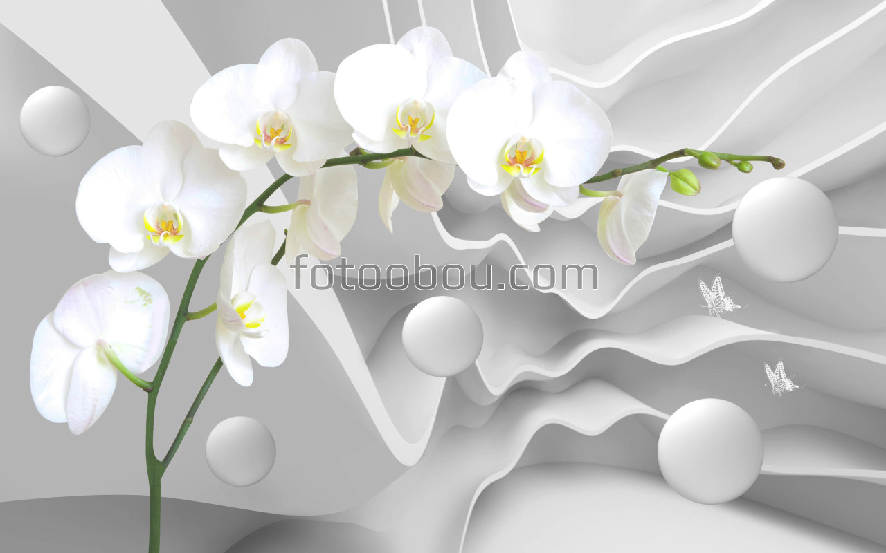 3д орхидеи