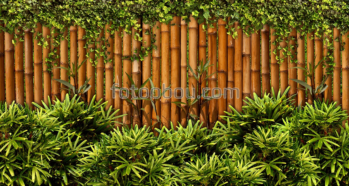 Бамбуковый забор