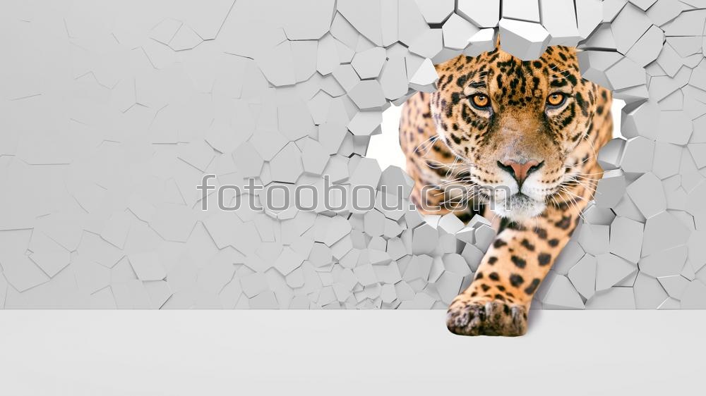 3д Леопард из стены