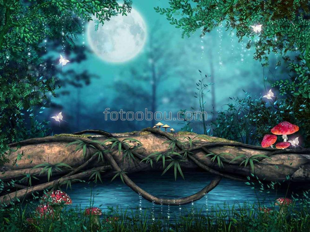 Ночь в сказочном лесу