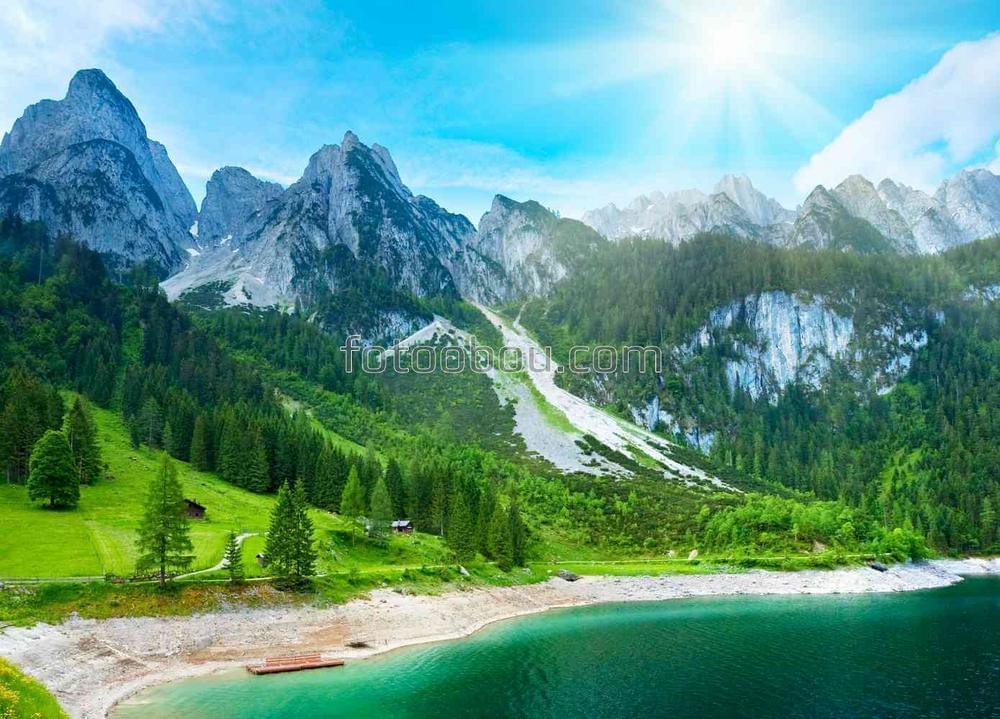 Альпийские горы летом