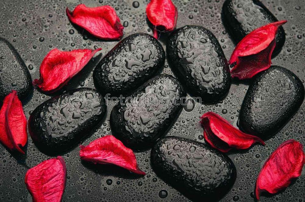 Черные камни и красные лепестки