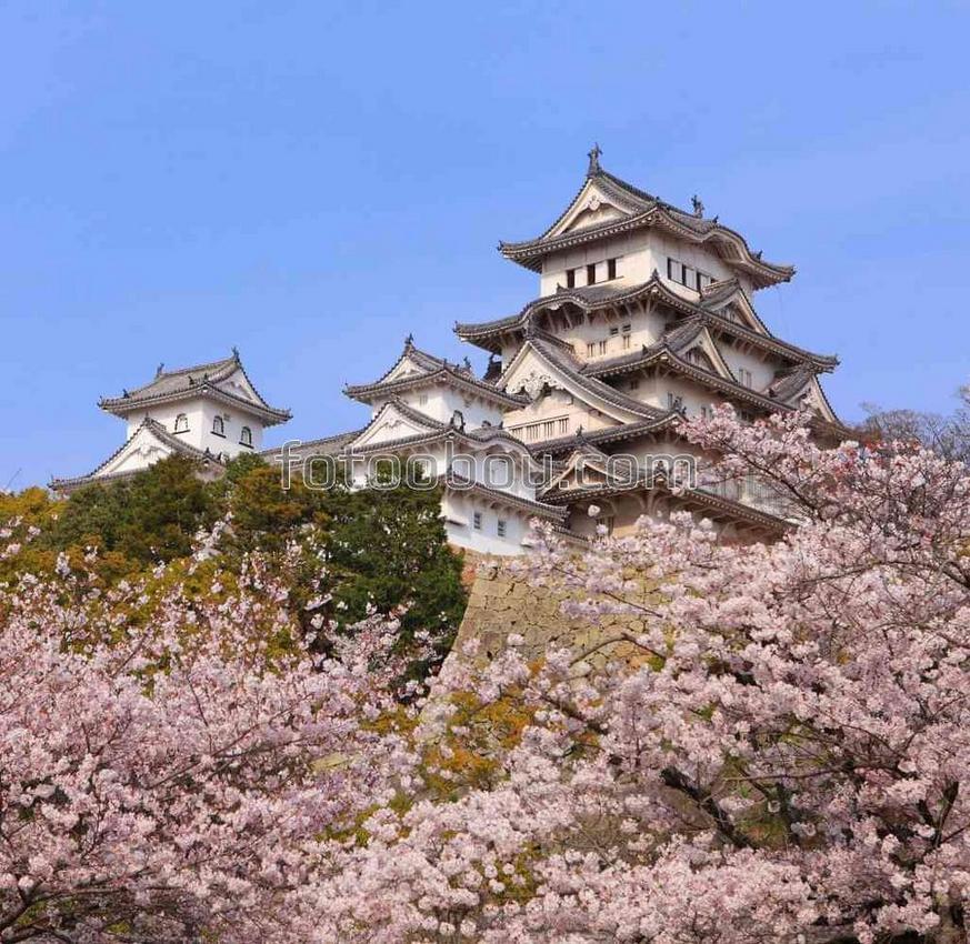 Японский замок в розовом саду