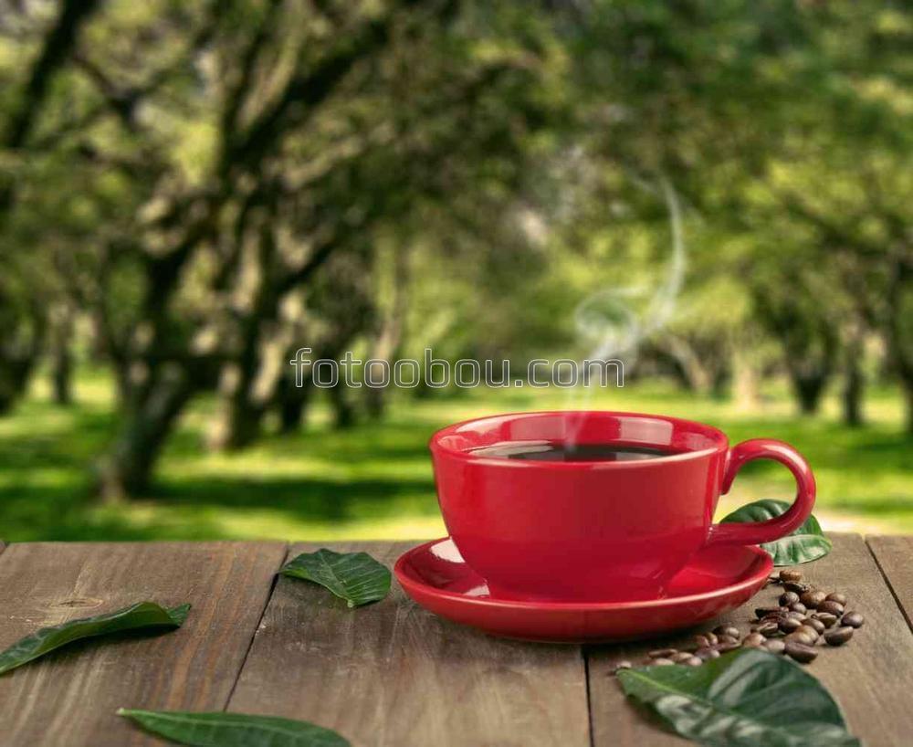 Чашка кофе на веранде
