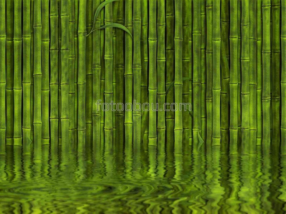 Стена бамбука
